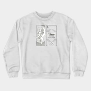 Meteorite Collector "Observed Fall: Pribram" Meteorite Crewneck Sweatshirt